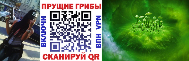 Псилоцибиновые грибы Cubensis  Заозёрный 