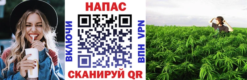 гидра онион  что такое   Заозёрный  МАРИХУАНА гибрид 